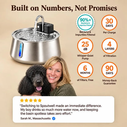 Spoutwell Filtered Pet Fountain