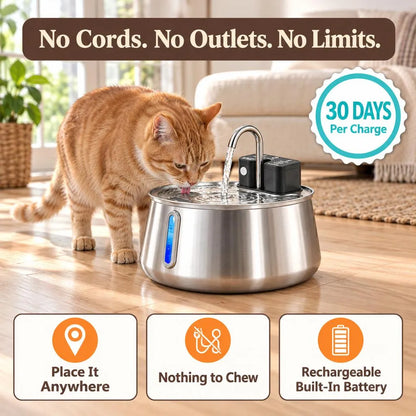 Spoutwell Filtered Pet Fountain