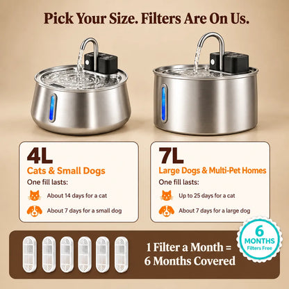 Spoutwell Filtered Pet Fountain